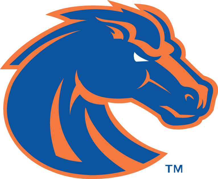Boise State Broncos 2013-Pres Primary Logo iron on transfers for fabric